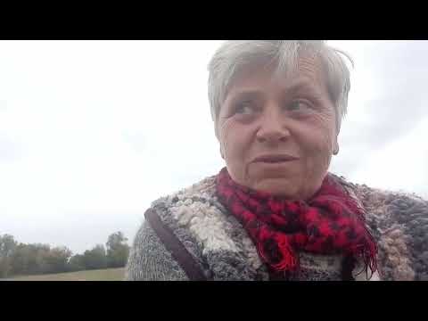 Видео: Если человек не просит о помощи,то не стоит ему и помогать!