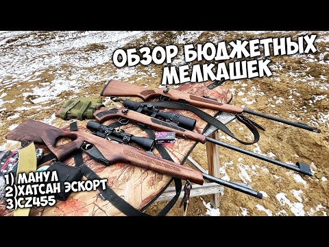 Видео: Пробуем бюджетные мелкашки МАНУЛ, ХАТСАН ЭСКОРТ и ЧиЗет