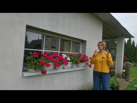 Видео: Что бы еще такого посадить...