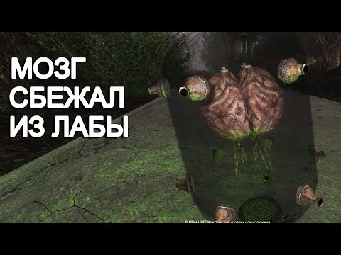Видео: Мозг сбежал из Лаборатории. STALKER Oblivion Lost Remake 3.0 #37