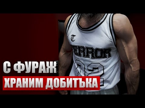 Видео: 'РЪНЪТЪ: Колко, кога и КАКВО изяждам за ЕДИН ДЕН 🥩🧈 | Април 2025