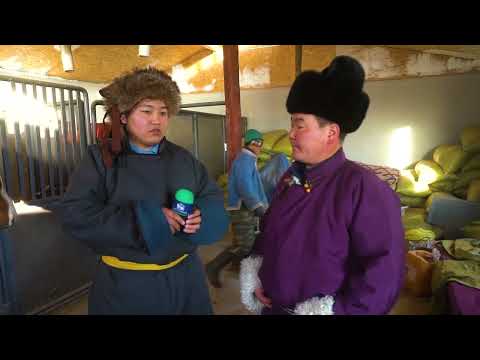 Видео: УЯАЧИЙН ЭРДЭМ РЕАЛИТИ НЭВТРҮҮЛЭГ 8-Р АНГИ ЭМГЭГ ЭМЧИЛГЭЭ