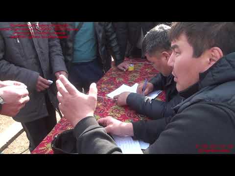 Видео: Амантай кокемыз берген Турнир Кокпар Шалдар Байдыбек ауданы 2021жыл