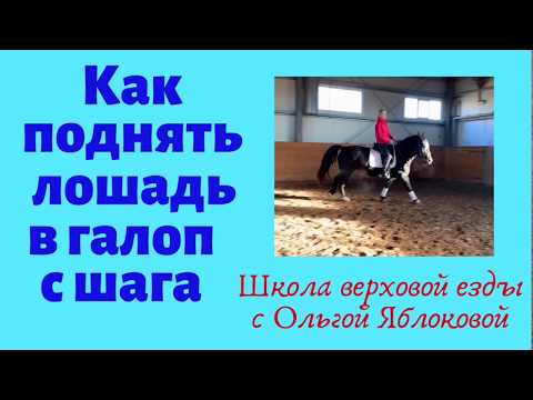 Видео: КАК ПОДНЯТЬ ЛОШАДЬ В ГАЛОП С ШАГА