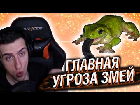 Видео: Hellyeahplay смотрит: Змеи Столкнулись не с Тем Противником
