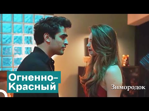Видео: Ферит Видит Сейран Во Сне | Зимородок