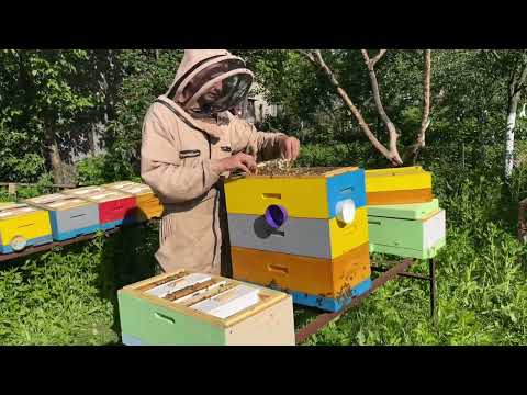 Видео: Таке робити варто! Перевірено досвідом.