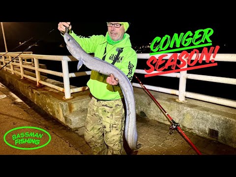 Видео: Ловля угрей в Маунт-Уайз, Плимут | Сезон угрей, часть вторая!