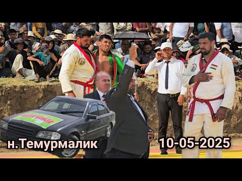 Видео: Рақобати Шакармамад барои шоҳҷоиза дар гуштини Ҷорубқули н.Темурмалик