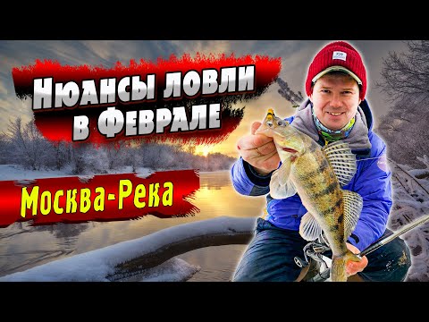 Видео: Вечерка на Москва-реке! | Джиг и Воблеры | Нюансы ловли в феврале