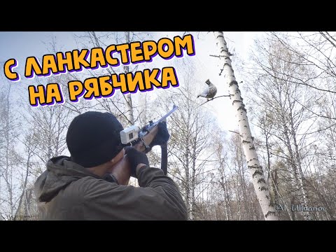 Видео: С «ланкастером» на птицу. Охота на рябчика с манком. Grouse hunting