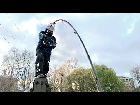 Видео: ФИДЕР на прочность!  ТОП бюджетного фидера. ПОПУЛЯРНЫЕ удилища для донной ловли! Тест до слома!