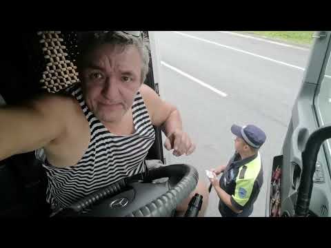 Видео: 28 июня 2025 г.