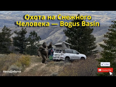Видео: Мы поехали искать снежного человека — и не зря!