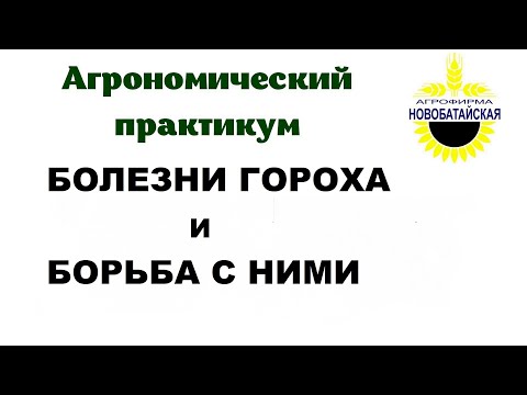 Видео: Болезни гороха и борьба с ними