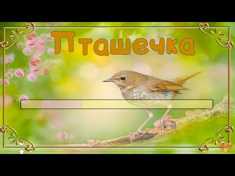 Видео: Пташечка (пісня+текст)