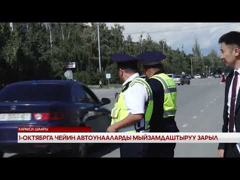 Видео: 1- Октябрга чейин автоунааларды мыйзамдаштыруу зарыл
