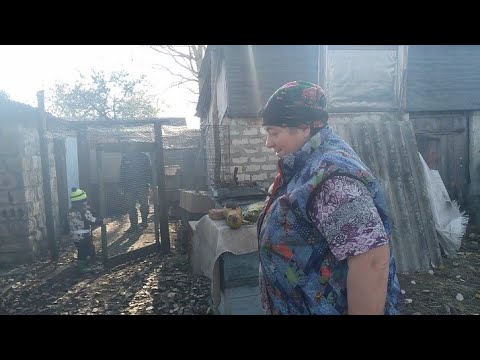 Видео: Вставляем окна в деревенском домике//Вторая корова абортировалась на 5 месяце стельности.