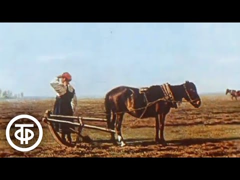 Видео: Валентина Левко - романс "Что ты жадно глядишь на дорогу" (1978)