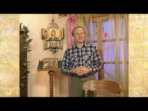 Видео: Рассказы о Святых. Святитель Димитрий, митрополит Ростовский