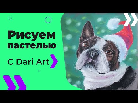 Видео: Рисуем новогоднюю собачку! Французский бульдог сухой пастелью! #Dari_Art