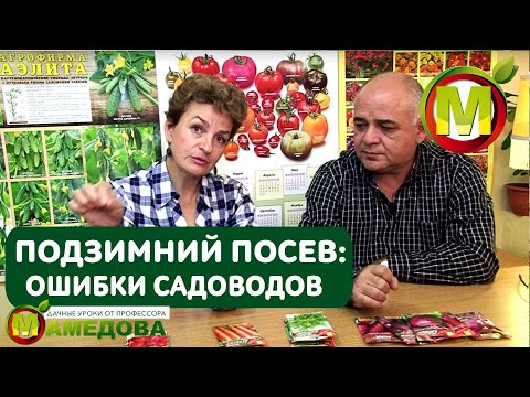 Видео: Подзимний посев 🌱 НЕ ДЕЛАЙТЕ ЭТОГО - ОШИБКИ САДОВОДОВ