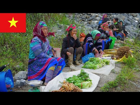 Видео: Исследование рынка Као Шон во Вьетнаме — культурное путешествие, не похожее ни на какое другое