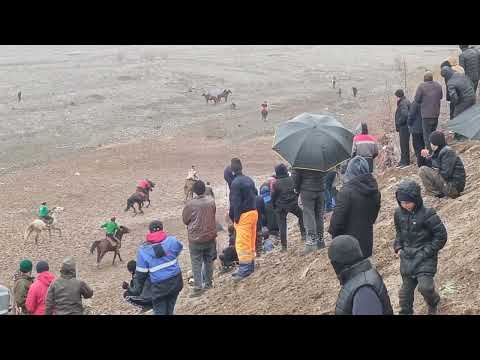 Видео: Бузкашии Нохияи Точикобод Чамоати Нушор Д Сарипул 09_03_2025. Кисми-1
