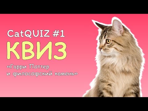 Видео: CatQUIZ #1 Гарри Поттер и философский камень | КВИЗ