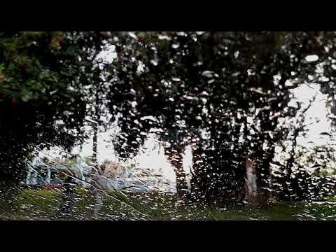 Видео: Я живу размеренно, не спеша -  Виктор  Варовин, исп  Дмитрий Днепровский