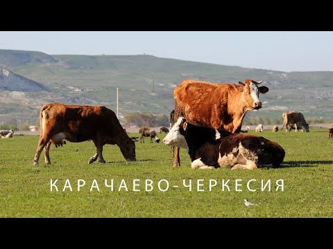 Видео: #64 Провёл целый месяц весной в Карачаево-Черкесии. Начало!
