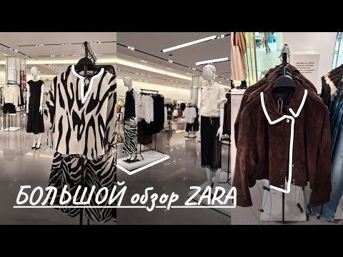 Видео: БОЛЬШОЙ обзор ZARA👗Осенние новинки🍁