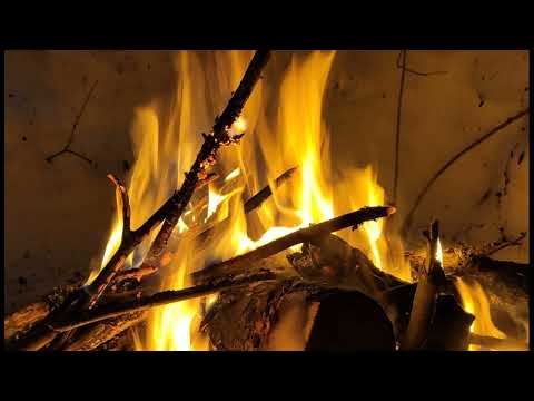 Видео: М Горький  Мать изменника  Фрагмент 1 из 2  Сказки об Италии #рассказопредательстве #рассказоматери