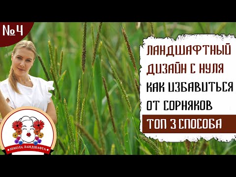 Видео: ЛАНДШАФТНЫЙ ДИЗАЙН С НУЛЯ.  КАК ИЗБАВИТЬСЯ ОТ СОРНЯКОВ.  ТОП 3 СПОСОБА
