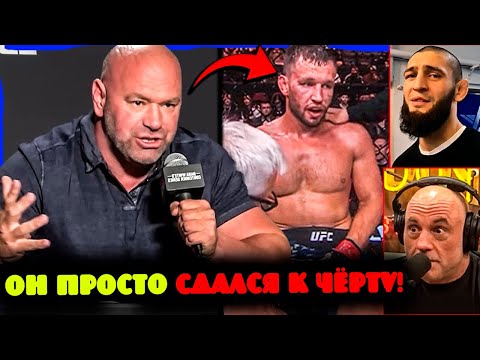 Видео: Дана Уайт высмеял Рейнера Де Риддера за сдачу между раундами — Хамзат и Роган ответили!