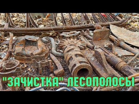 Видео: НОВЫЙ МЕТАЛЛОИСКАТЕЛЬ В ДЕЛЕ!ПРИБОРНЫЙ ПОИСК МЕТАЛЛОЛОМА.