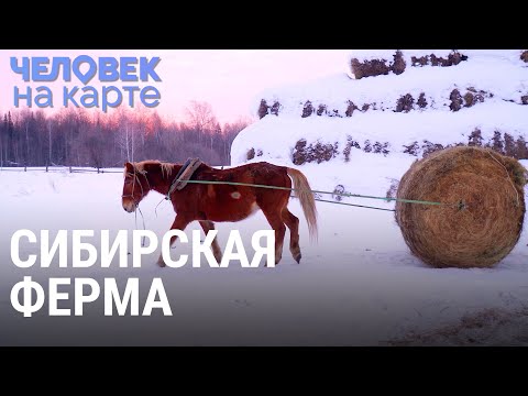 Видео: Сибирская ферма | ЧЕЛОВЕК НА КАРТЕ