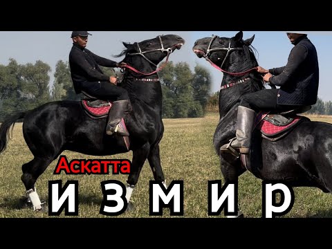 Видео: ИЗМИР АР КАНДАЙ ЖЫЙЫНГА ДАЯР🔥⚫️ АСКАТТАН ЧЫКТЫ