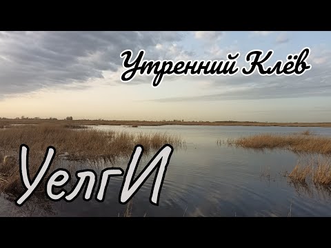 Видео: 🥳 УЕЛГИ 🤪 Нашёл Тропу Карася и Понеслось.Экземпляры Достойные.