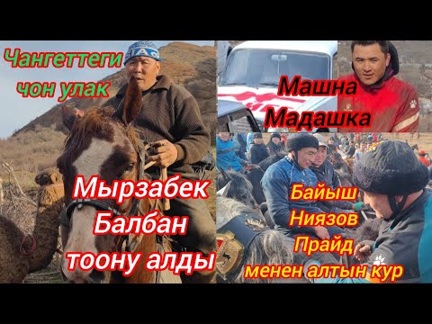 Видео: Чангеттеги чон улак