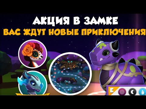 Видео: АКЦИЯ В ЗАМКЕ - ЛЕГЕНДЫ ДРАКОНОМАНИИ
