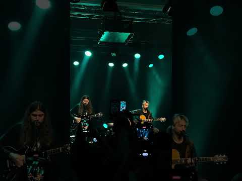 Видео: Нервы – Ты бы охуела (акустика @ Tiivistämö, 25.10.2023)
