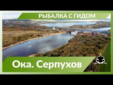 Видео: Рыбалка с гидом.  Ока. Серпухов.