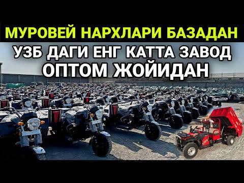 Видео: Муравей ЮК, Грузовой Мотоцикил! Мотороллер Трицикл Нархлари 2025... Alp Motors
