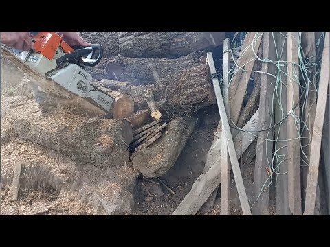 Видео: Бензопилка STIHL MS260 - не запускається, діагностика нічого не виявила