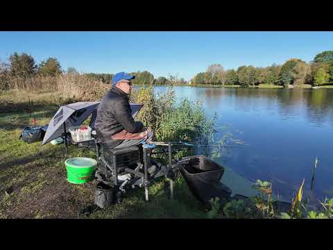 Видео: В поисках леща . Река Мухавец. Осень 2024.