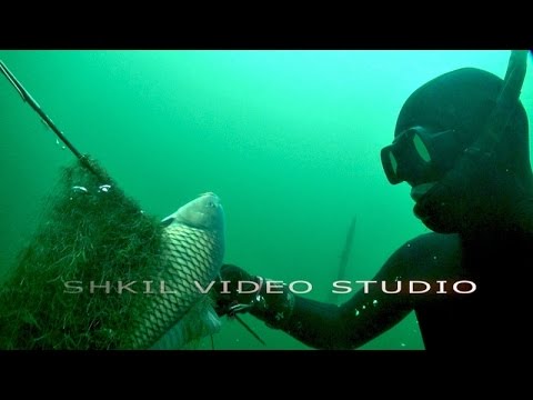 Видео: ПОИСКИ ИДЕАЛЬНОГО РУЖЬЯ  ч2  ПЕЛЕНГАС