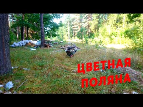 Видео: ПОИСК МЕДИ И МЕТАЛЛОЛОМА НА СВАЛКЕ В ЛЕСУ! ЗАБЛУДИЛСЯ НА МЕТАЛЛОВОЗЕ. АДСКАЯ ДОРОГА ДОМОЙ.