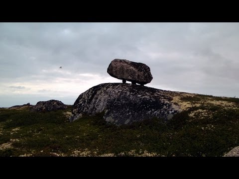 Видео: В тундре Кольского