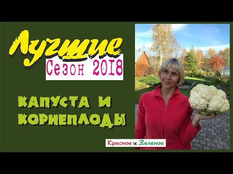Видео: Капуста и корнеплоды. Лучшее. Проверено Сибирью!